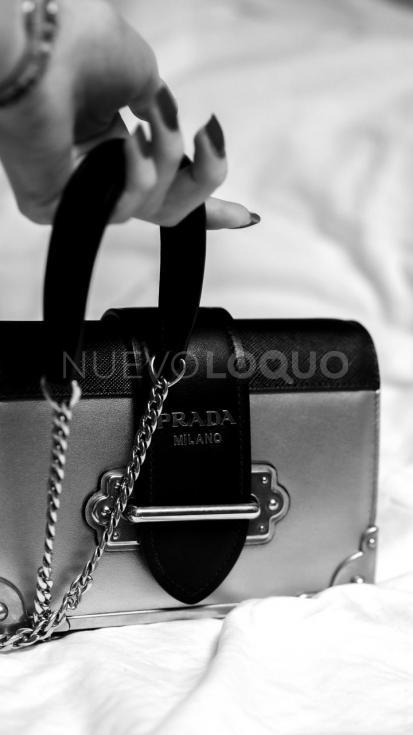 NuevoLoquo1