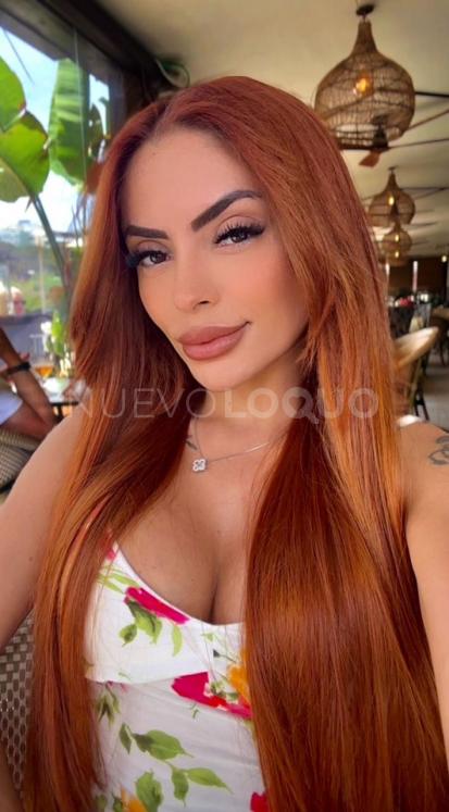 NuevoLoquo4
