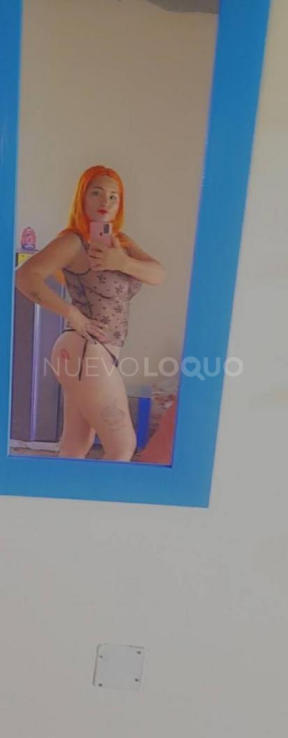 NuevoLoquo5