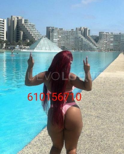 NuevoLoquo3