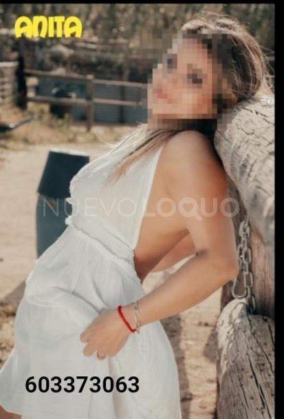 NuevoLoquo3
