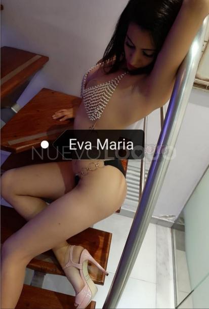NuevoLoquo1