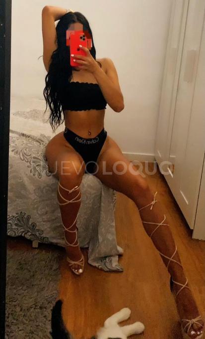 NuevoLoquo3