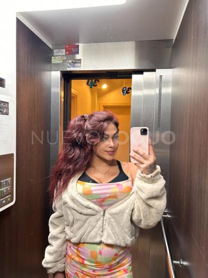 NuevoLoquo5