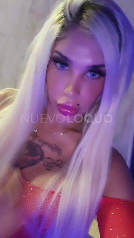 NuevoLoquo3