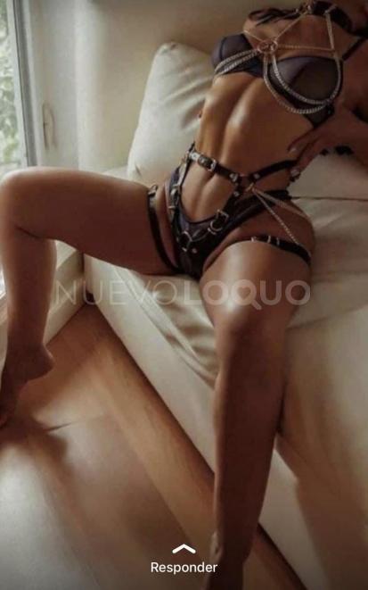 NuevoLoquo3
