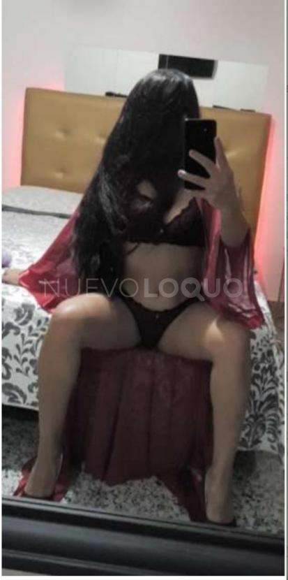 NuevoLoquo2