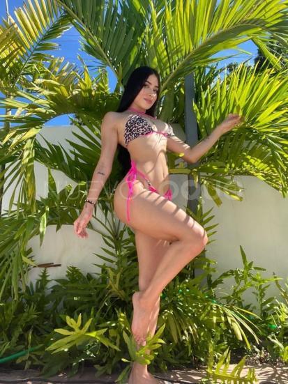 NuevoLoquo2