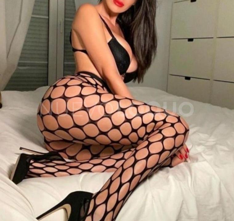 NuevoLoquo3