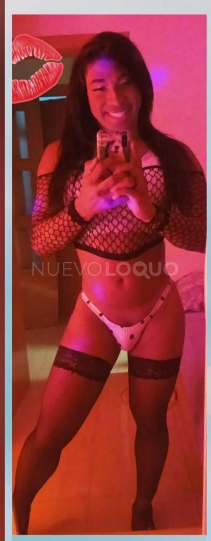 NuevoLoquo4