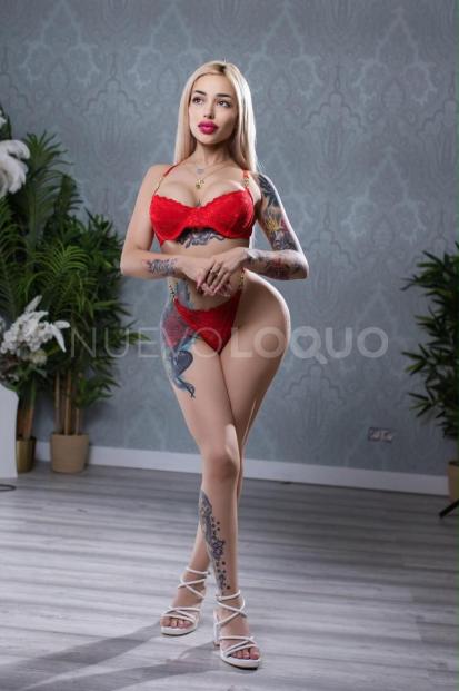 NuevoLoquo3