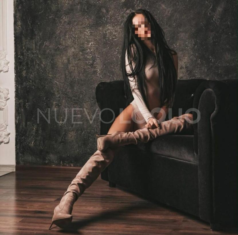 NuevoLoquo3