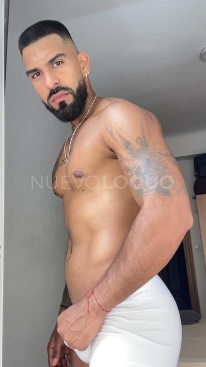 NuevoLoquo2