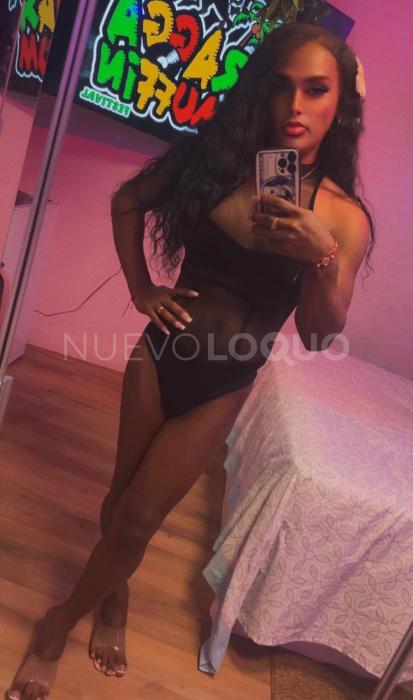 NuevoLoquo1