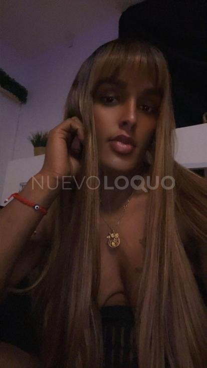 NuevoLoquo1