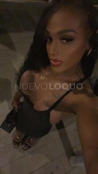 NuevoLoquo4