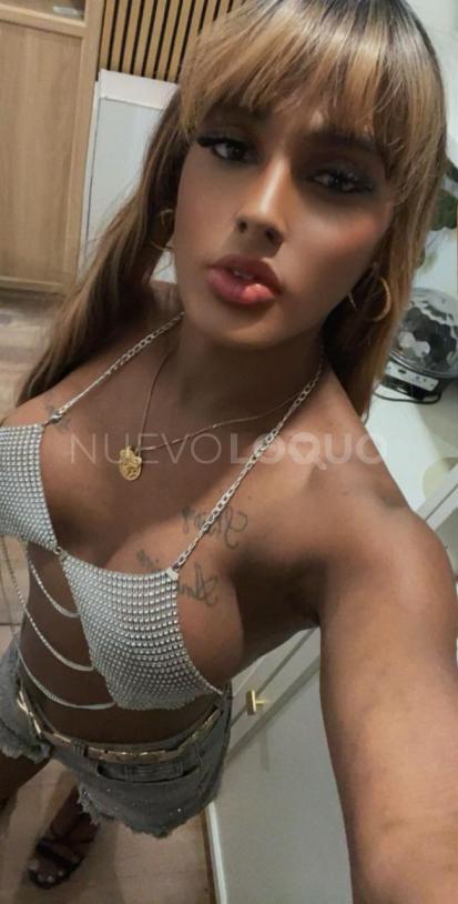 NuevoLoquo4