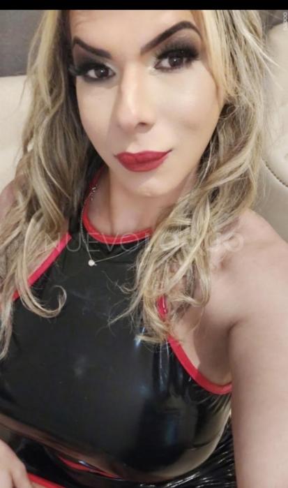 NuevoLoquo2