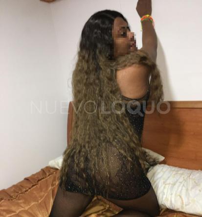 NuevoLoquo1