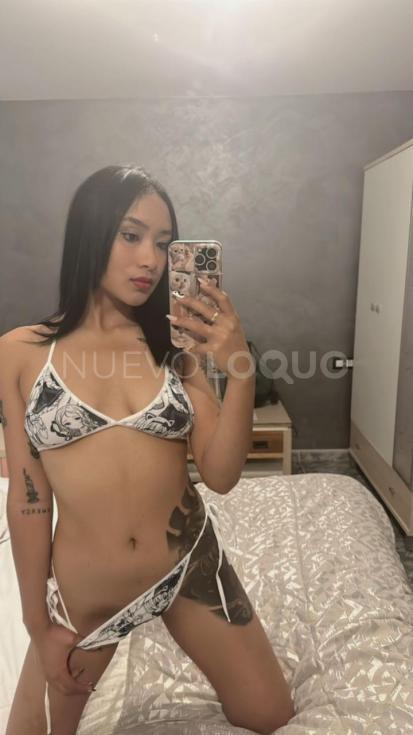 NuevoLoquo4