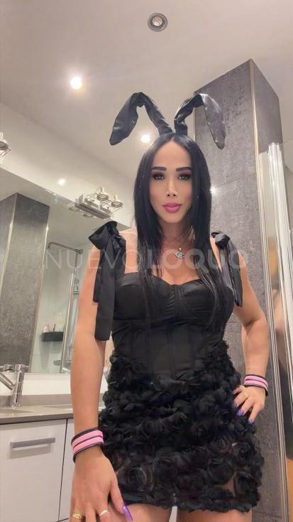 NuevoLoquo0