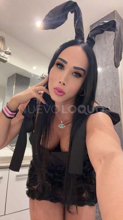 NuevoLoquo3