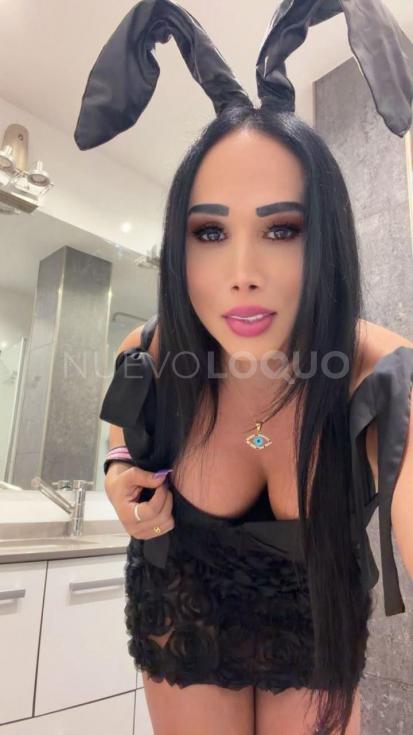 NuevoLoquo5