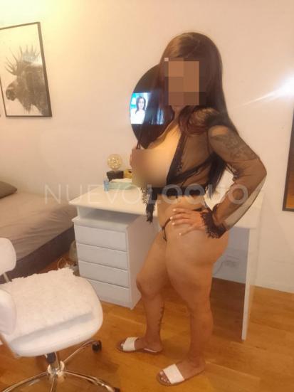 NuevoLoquo3
