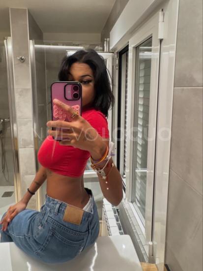 NuevoLoquo1