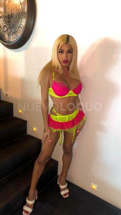 NuevoLoquo3