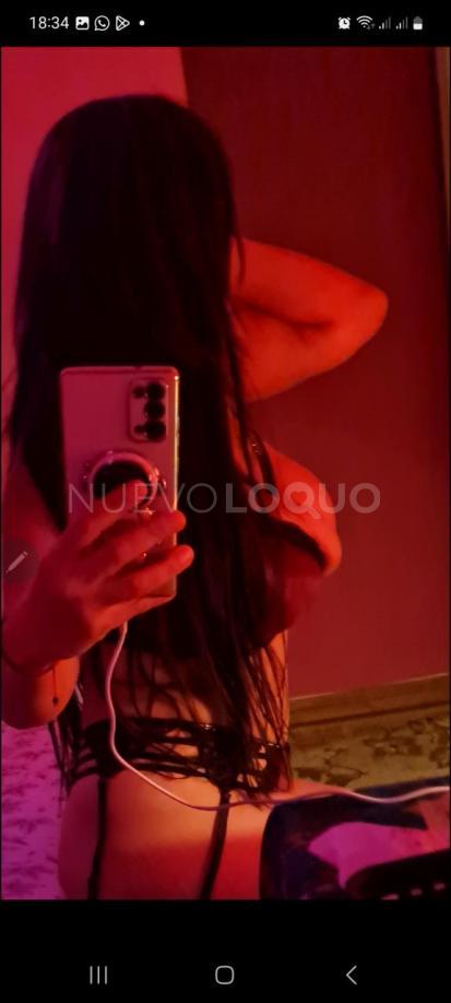 NuevoLoquo2