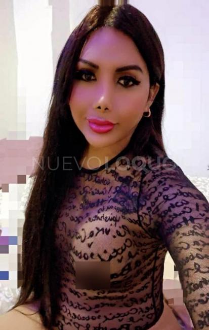 NuevoLoquo1