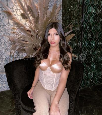 NuevoLoquo3