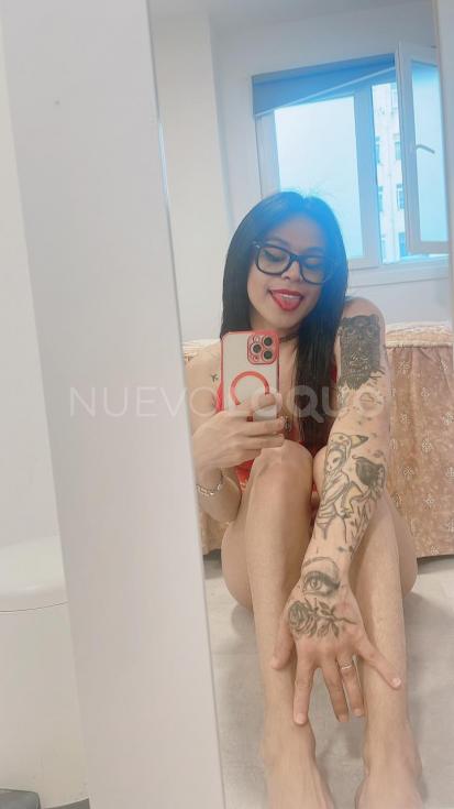 NuevoLoquo3