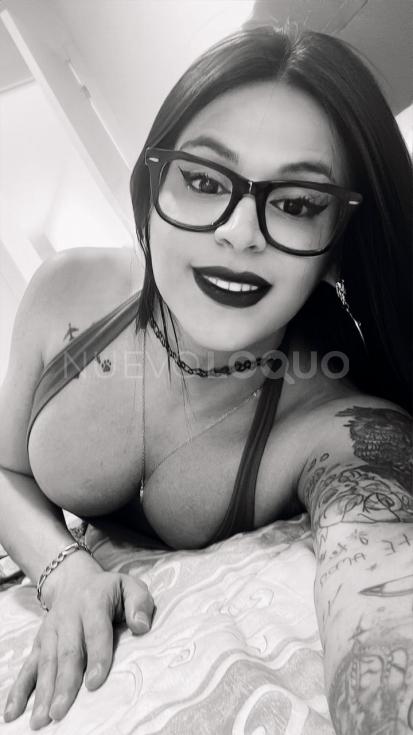NuevoLoquo3