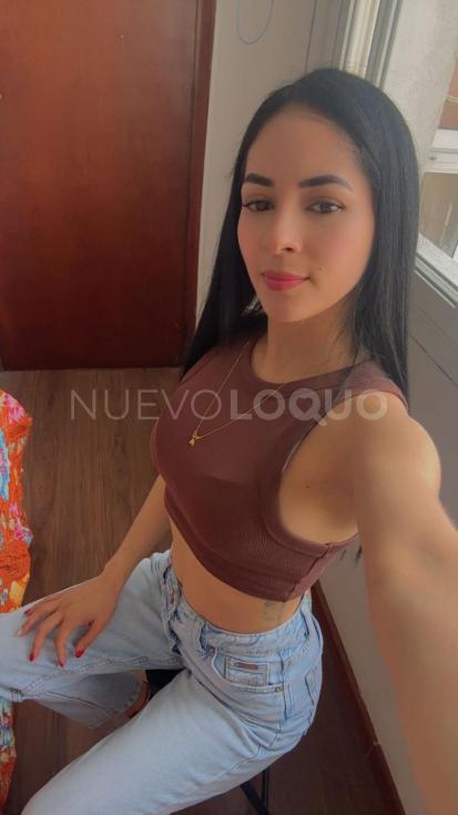 NuevoLoquo2