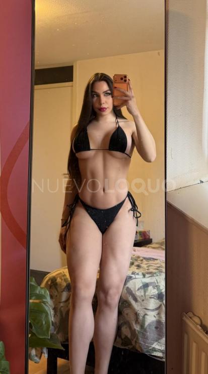 NuevoLoquo4