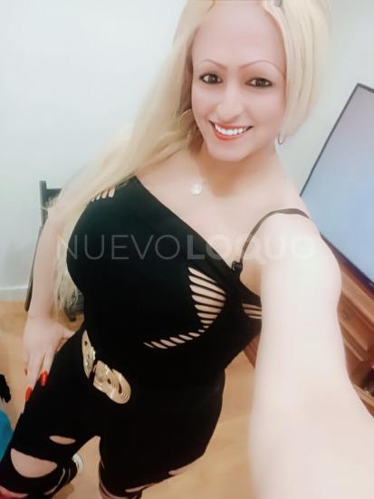 NuevoLoquo3