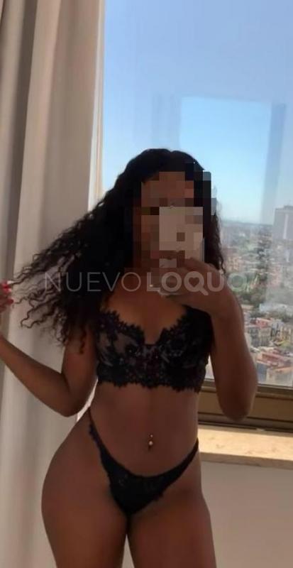 NuevoLoquo2