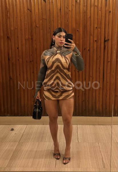 NuevoLoquo0