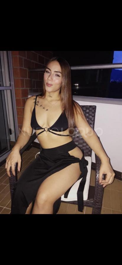 NuevoLoquo2