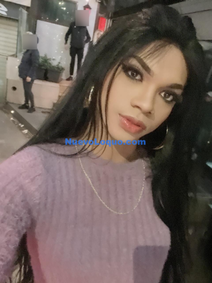 NuevoLoquo4