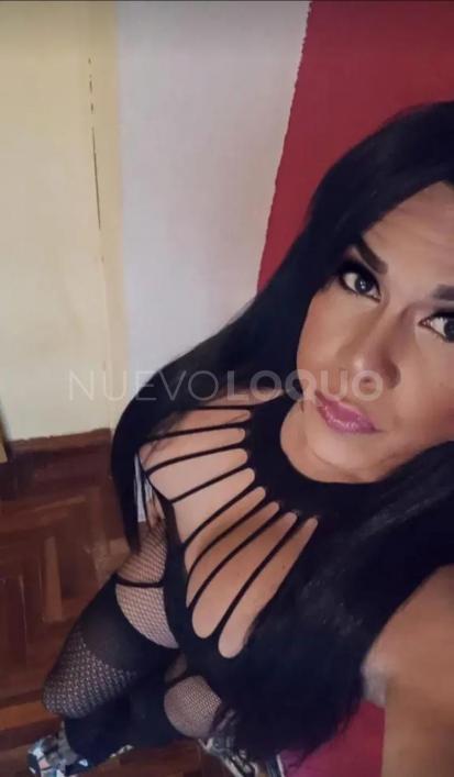 NuevoLoquo1