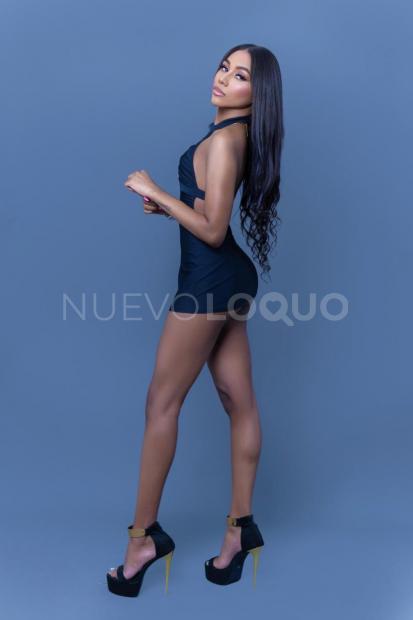 NuevoLoquo3