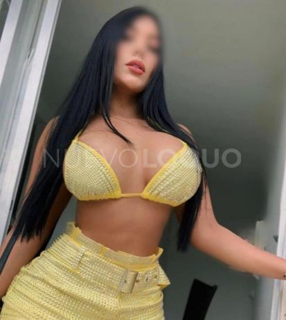 NuevoLoquo2