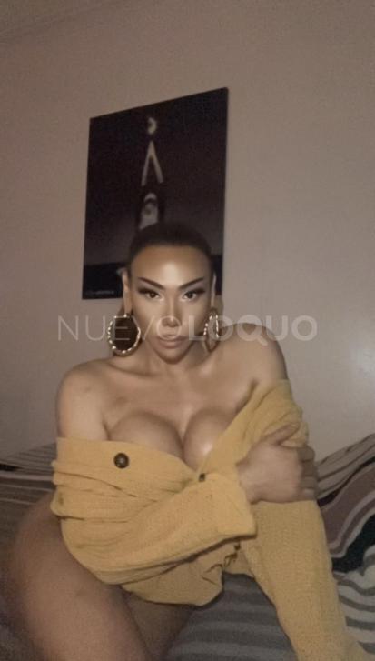 NuevoLoquo5