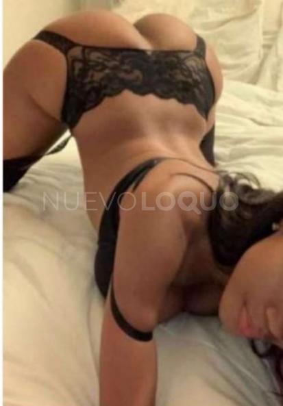  Novedad Pamela caribeña muy 