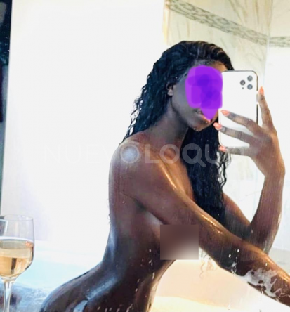 NuevoLoquo3