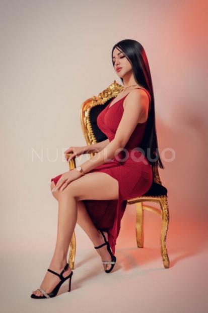 NuevoLoquo4