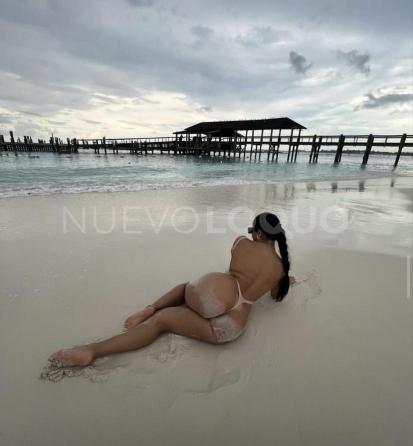 NuevoLoquo3